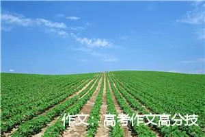 作文：高考作文高分技巧及写作注意事项