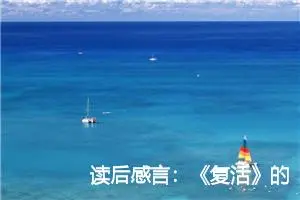 读后感言：《复活》的读后感200字_高中读后感