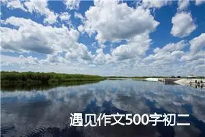 遇见作文500字初二（精选11篇）