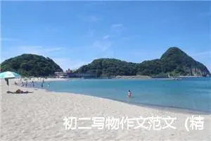 初二写物作文范文（精选20篇）