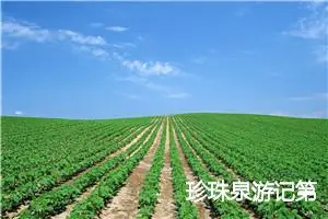 珍珠泉游记第