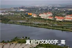 真相作文800字_高三作文