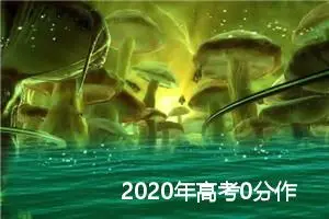 2020年高考0分作文：《我的范儿》_高考零分作文