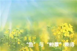 “鱼”与“熊掌”兼得作文900字_高三作文