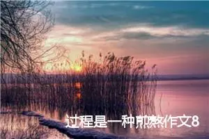 过程是一种煎熬作文800字_高三作文
