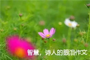 智慧，诗人的眼泪作文1000字_高三作文