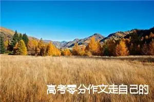 高考零分作文走自己的路让别人无话可说_高考零分作文