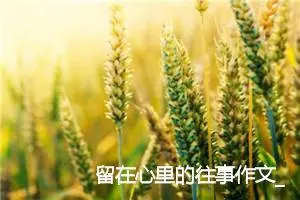 留在心里的往事作文_作文1150字_高一作文
