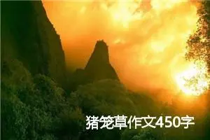 猪笼草作文450字