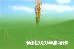预测2020年高考作文题目：精神的故乡_作文1400字_高考作文预测