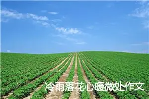 冷雨落花心暖微处作文900字_高三作文