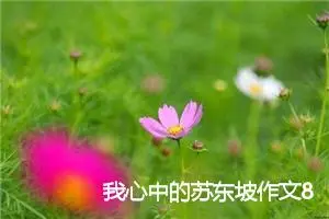 我心中的苏东坡作文800字_高二作文