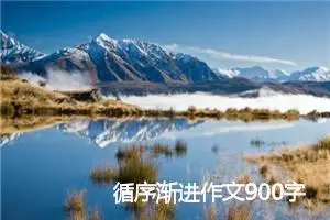 循序渐进作文900字_高三作文