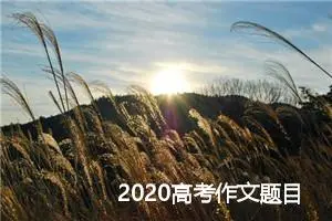 2020高考作文题目预测及范文：认清自己，成就未来_作文1150字_高考作文预测
