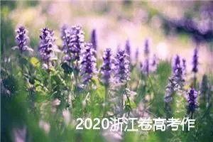 2020浙江卷高考作文题目:坐在路边鼓掌的人_高考零分作文