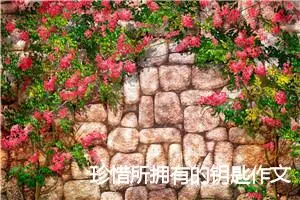珍惜所拥有的钥匙作文800字_高一作文