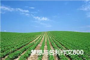 梦想与名利作文800字_高一作文