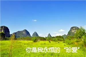 你是我永恒的“珍爱”作文1000字_高三作文