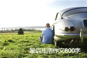 军训生活作文800字_高一作文
