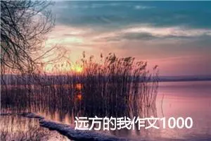 远方的我作文1000字_高二作文