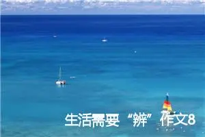 生活需要“辨”作文800字_高三作文