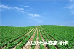 2020天津卷高考作文题目:三句话看童心_高考零分作文