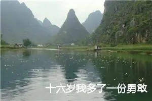 十六岁我多了一份勇敢作文800字_高二作文