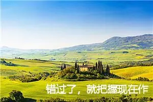 错过了，就把握现在作文700字_高三作文