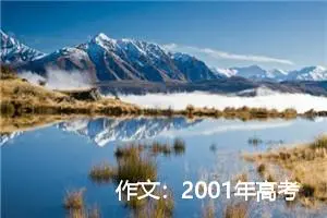 作文：2001年高考优秀作文：千年一叹