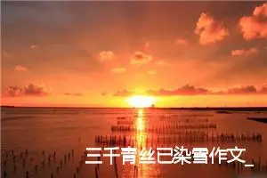 三千青丝已染雪作文_作文900字_高三作文