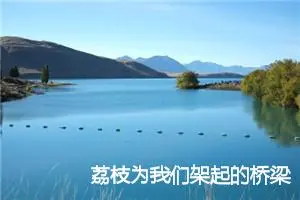 荔枝为我们架起的桥梁作文_作文1650字_高二作文