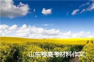 山东卷高考材料作文：正视错误_作文750字_高考材料作文