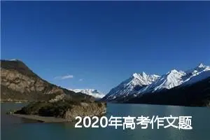 2020年高考作文题预测：择心之所向，崇灵魂光芒_作文950字_高考作文预测