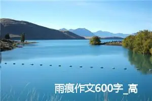 雨痕作文600字_高一作文