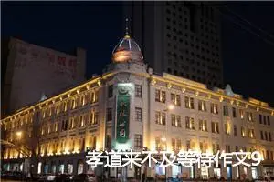 孝道来不及等待作文900字_高三作文