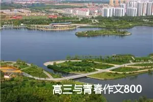 高三与青春作文800字_高三作文