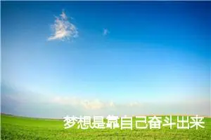 梦想是靠自己奋斗出来的作文800字_高三作文