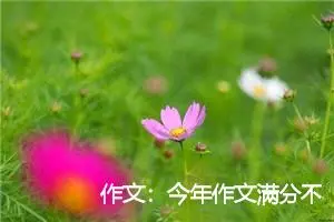 作文：今年作文满分不多 字写工整可拿印象分