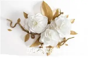 历年搞笑的高考零分作文：格林兄弟的遗言_高考零分作文