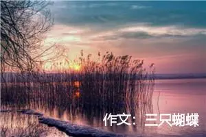 作文：三只蝴蝶