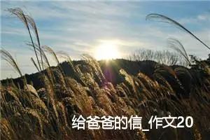 给爸爸的信_作文200字_小学书信作文