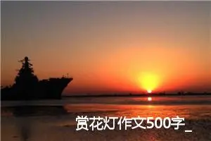 赏花灯作文500字_小学三年级作文