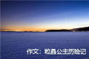 作文：粒晶公主历险记