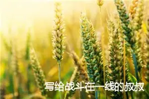 写给战斗在一线的叔叔阿姨们的一封信_作文450字_小学书信作文