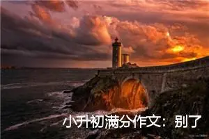 小升初满分作文：别了母校_作文800字_小升初作文