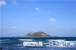 假如我是一只小鸟作文500字