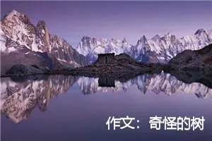 作文：奇怪的树