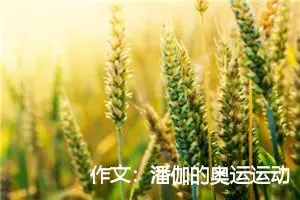 作文：潘伽的奥运运动衫