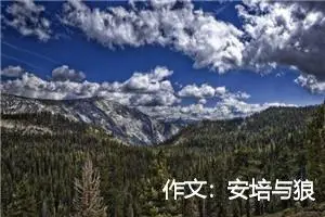 作文：安培与狼