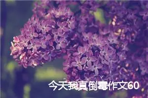 今天我真倒霉作文600字